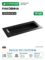 Раковина Ceramicanova Grace 100 CN7013MB Черная матовая