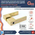 Умная ручка Gimmel F11 TTLock DM60 золото с отпечатком пальца