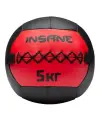 Медбол спортивный для фитнеса Insane IN24-WB100, вес 5 кг, цвет красный