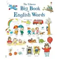  Mackinnon M. The Usborne Big Book of English Words твердый иностранный язык