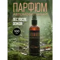 Ароматизатор для автомобиля Лес после дождя/ спрей освежитель для салона машины/автопарфюм 100 мл