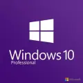 Microsoft Windows 10 Professional