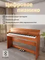 Цифровое пианино WENCAI BL-8818 Полувзвешенная клавиатура (88 клавиш), откидной крышкой и MIDI/USB