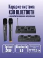 Караоке-система K3D BLUETOOTH с двумя беспроводными микрофонами