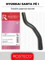 Патрубок радиатора верхний 2541126100 HYUNDAI SANTA F I