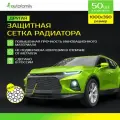 Защитная сетка радиатора, защита радиатора профессиональная, 1000x390, полимерный материал, 50 шт