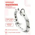 Кожаный ошейник с защитными шипами (обхват шеи 26-33 см) для малых и средних собак / Белый