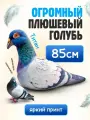 Мягкая игрушка Гигантский Голубь / 85 см / Большая подушка обнимашка в подарок для девочки и мальчика