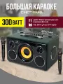 Караоке система NOIR-audio MAX-300 с двумя беспроводными микрофонами и колонкой