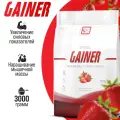 Гейнер для набора мышечной массы с медленными углеводами 2SN Slow Carb Gainer 3000г (Клубника)