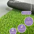 Газон искусственный Tropicana 20мм. ворс (2м х 1м)