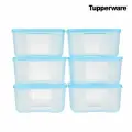 Набор контейнеров Tupperware Rectangular Freezer 1.7L Food Storage, 6 шт, бесцветный/голубой
