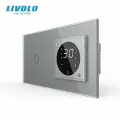 Одноклавишный сенсорный выключатель Livolo с терморегулятором (1-0)