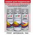 Ремкомплект для покраски кузова Ford 019, 17V - PANTHER BLACK, цвет: черный. Набор 3 баллона: грунтовка, краска, лак