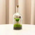 Флорариум в бутылке/ мини-флорариум с мини-растением от Неопьюр