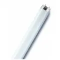 Лампа люминесцентная L 58W/765 58Вт T8 6500К G13 смол. OSRAM 4008321959850