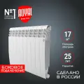 Радиатор Royal Thermo BiLiner 500 /Bianco Traffico 10 секций