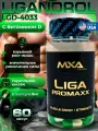 MXA NUTRITION Liga Promaxx с витамином D 60 капсул, набор мышечной массы, спортивное питание для мужчин