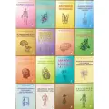 Анатомия. Гайворонский. Комплект учебных пособий. 16 шт.