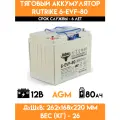 Тяговый аккумулятор RuTrike 6-EVF-80 (12V80A/H C3)