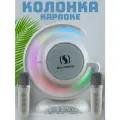 Караоке-система с LED-подсветкой и двумя микрофонами белый