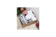 Подарочный набор Этель Christmas плед и акс 9899888