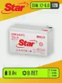 Аккумулятор для ИБП DJW12-9.0 F2 12 В, 9 А*ч Star УТ-00002533