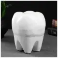 Копилка Зуб белый, 13х14х19см