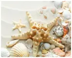 Набор алмазной вышивки Ракушки на песке, размер 50х40см, 43 цвета