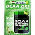 BCAA + Glutamin Scitec Nutrition BCAA + Glutamine Xpress 300 г, Мохито
