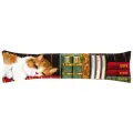 PN-0148238 Набор для вышивки крестом (подушка) Vervaco Cat sleeping on bookshelf Спящий кот