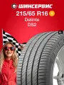 Летняя шина Delinte DS2 215/65 R16 102H