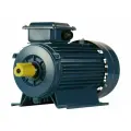 Электродвигатель 5Аи 90 L2 3/3000 IM 1081