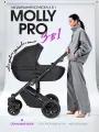 Коляска для новорожденных 3 в 1 Farfello Molly Pro, MP-2, черный