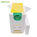 GREENVIVE Мини-улей HL06P-2 для выращивания маток
