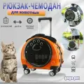 Рюкзак-чемодан / Переноска и перевозка на колесиках для кошек и собак, для мелких и средних пород (до 6 кг), оранжевый