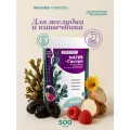 NativBio. Фукус-желе Натив-гастро, лечебное питание, 500 г.