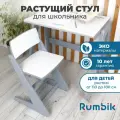 Стул для школьника растущий Rumbik Smart серый, детский деревянный стульчик для парты с регулировкой высоты