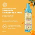 Natura Siberica шампунь Облепиховый Глубокое очищение и уход для нормальных и жирных волос, 400 мл