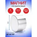 Неодимовый магнит 50х30 мм, диск, сила сцепления 110 кг