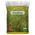 Овсяница луговая семена газонная трава многолетняя зеленое удобрение, 3 кг.