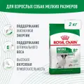 Сухой корм для собак Royal Canin Mini Adult 8+ для мелких пород, 2 кг