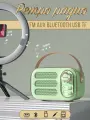 Ретро радиоприемник / беспроводная колонка FM AUX BLUETOOTH USB TF (зеленый)