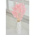 Сухоцвет Лагурус для декора Trava Decor букет цветов для вазы, розовая