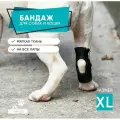 Бандаж для собак и кошек на заднюю и переднюю лапу. Размер XL.