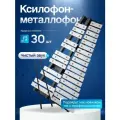 Металлофон (глокеншпиль) в чехле 30 брусков. Fleet DS-30