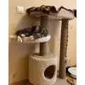 Игровой комплекс для кошек Когтеточки Киров КН-064, высота 1м, ковролин