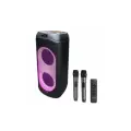 Портативная колонка Microlab PT802W, Bluetooth, светомузыка, 200 Вт, 2 микрофона в комплекте