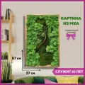 Настенный декор Bloom Showroom Живая картина из стабилизированного мха, 38х58