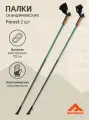 Палки для скандинавской ходьбы Travel Forest, 115 см, цельные, зеленый